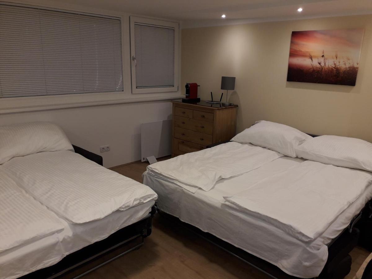 Апартаменты Cosy Flat In The Quiet Area With Own Garden, Free Parking And Direct Public Transport Link To The Centre Вена Экстерьер фото